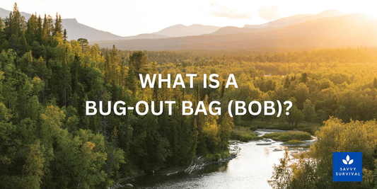 What are essential items for a bug-out bag? - Savvy Survival