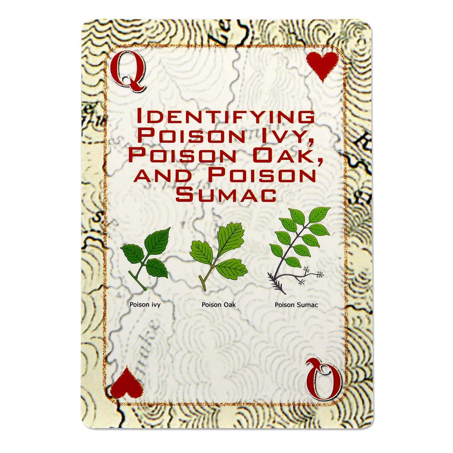 Deck of Survival Playing Cards - Tools & Gadgets