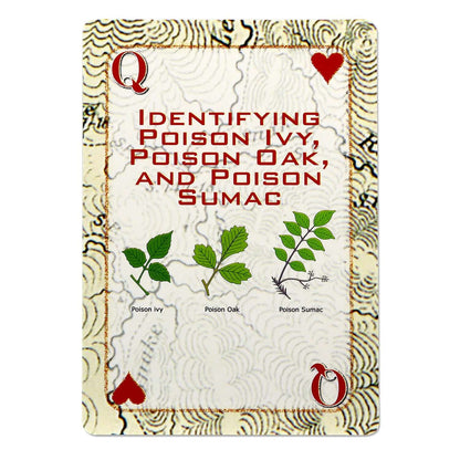 Deck of Survival Playing Cards - Tools & Gadgets